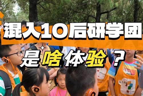 90后大齡兒童混進10后研學團，被教育了……