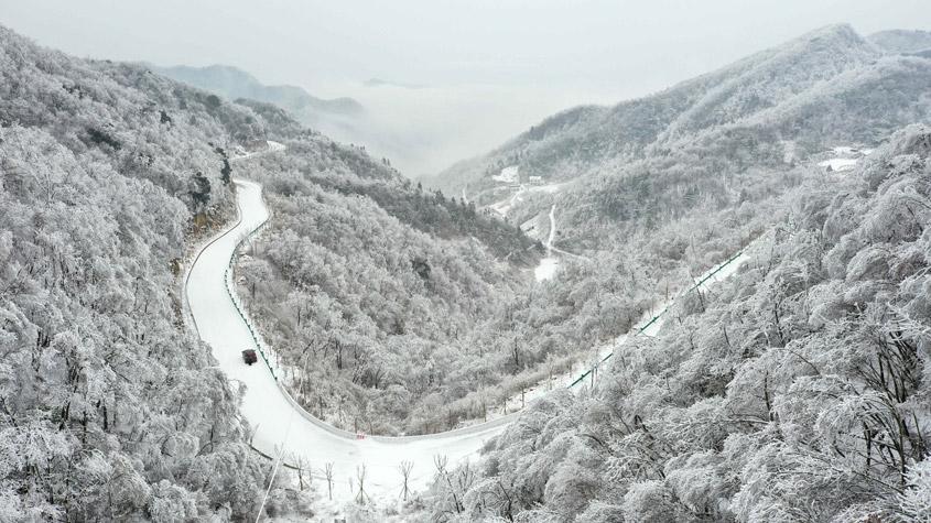 湖北?？惮F(xiàn)森林霧凇景觀 如水墨畫(huà)卷